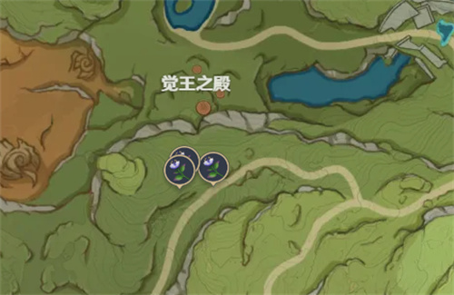 原神妮露突破材料帕蒂沙兰位置分布图 妮露升级材料清单