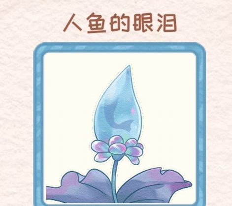 酋长游戏吧2