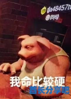 酋长游戏吧16