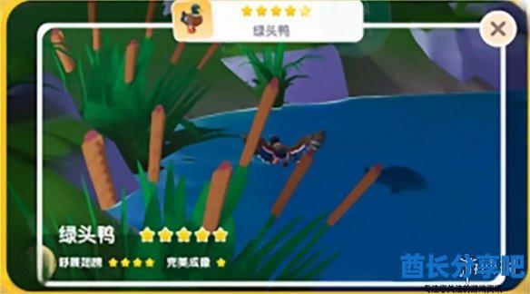 酋长游戏吧3