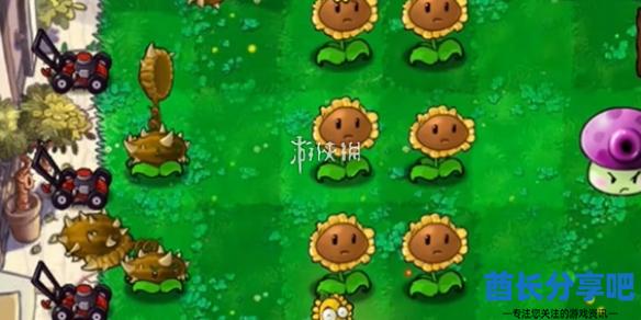酋长游戏吧1