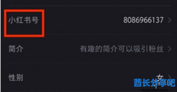 酋长游戏吧4