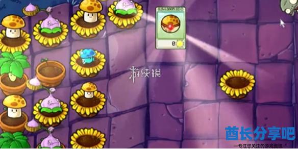 酋长游戏吧1