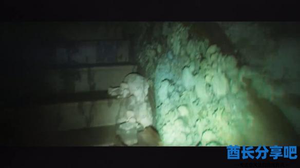 酋长游戏吧9